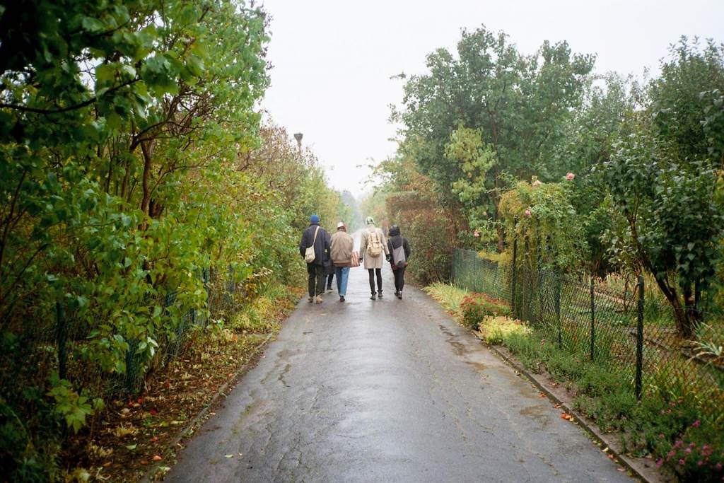 fot. Dominika Turowicz, ROD Obrońców Pokoju, listopad 2015