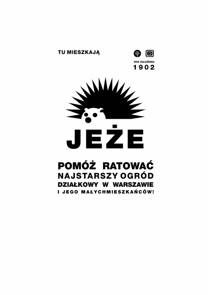 projekt: Ola Andrzejewska