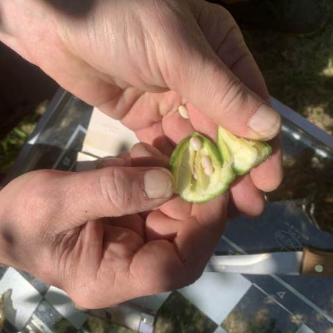 fot. Agnieszka Dragon