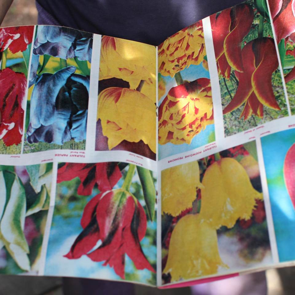 W poszukiwaniu dźwięków