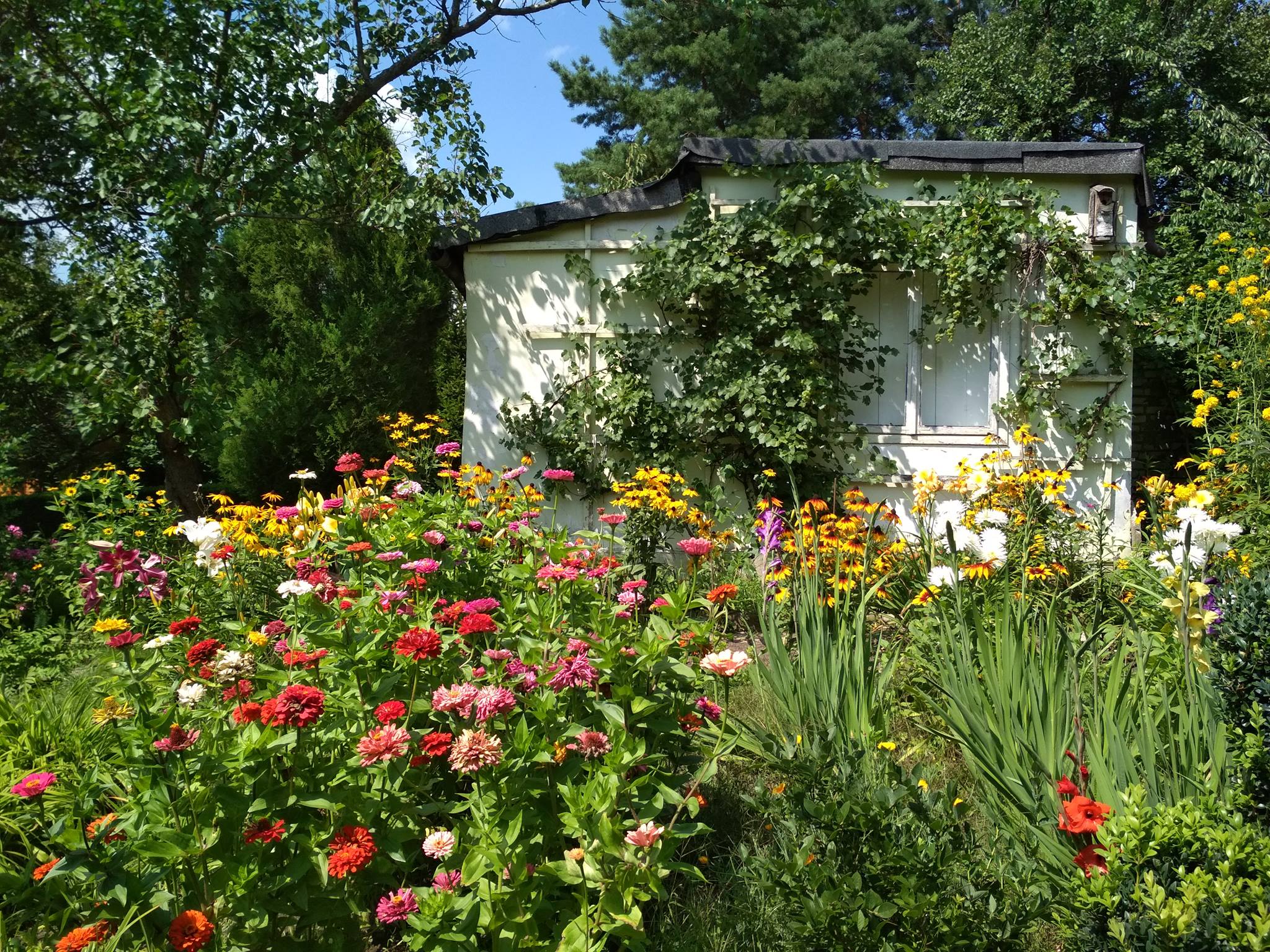 fot. Agnieszka Dragon, ROD Obrońców Pokoju, 2018