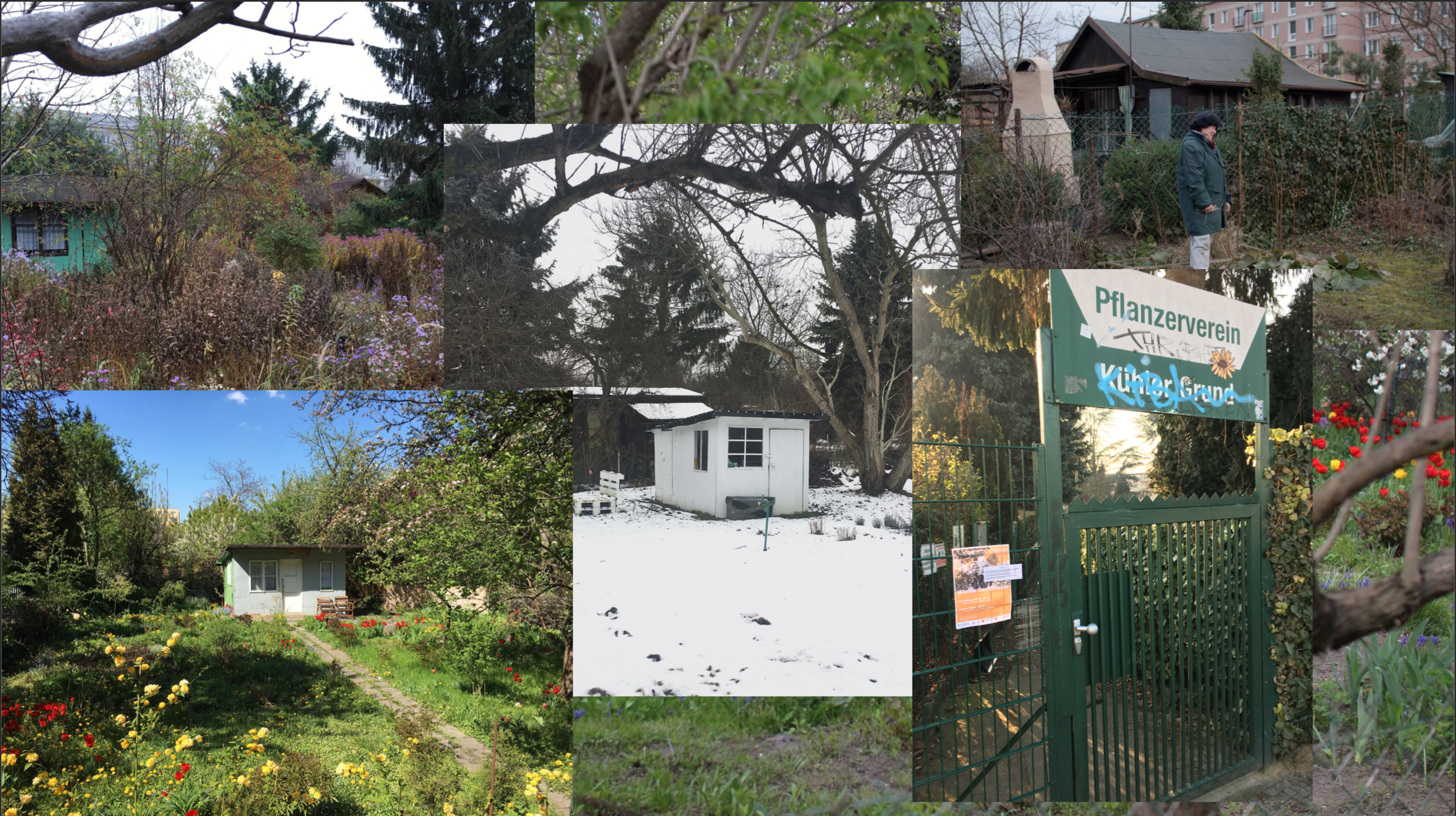 fot. Agnieszka Dragon fot. Agnieszka Dragon