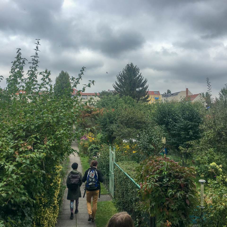 fot. Sławomir Sendzielski KGA Herztal Wilde Rose